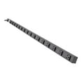 thumbnail image 1 of Tripp Lite 16-Outlet Vertical Power Strip, 120V, 15A, NEMA 5-15P, 15 ft. Cord, 48 in., Black Housing (PS4816B), 1 of 11