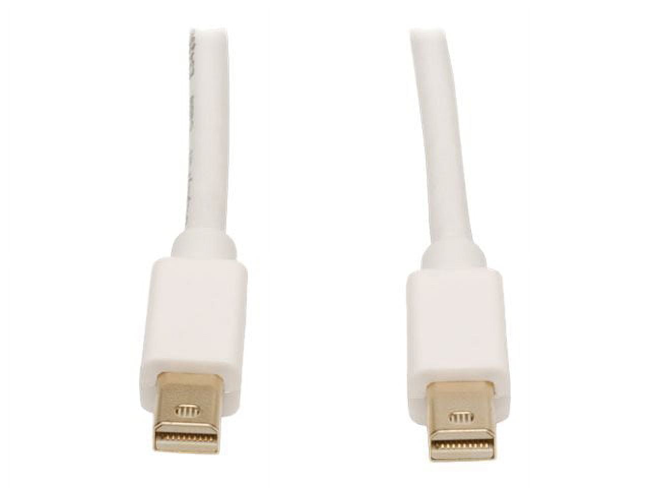 Tripp Lite Mini DisplayPort Cable 4K x 2K @ 30Hz, 3840 x 2160 Including 1080p, (M/M) 6-ft (P584-010)