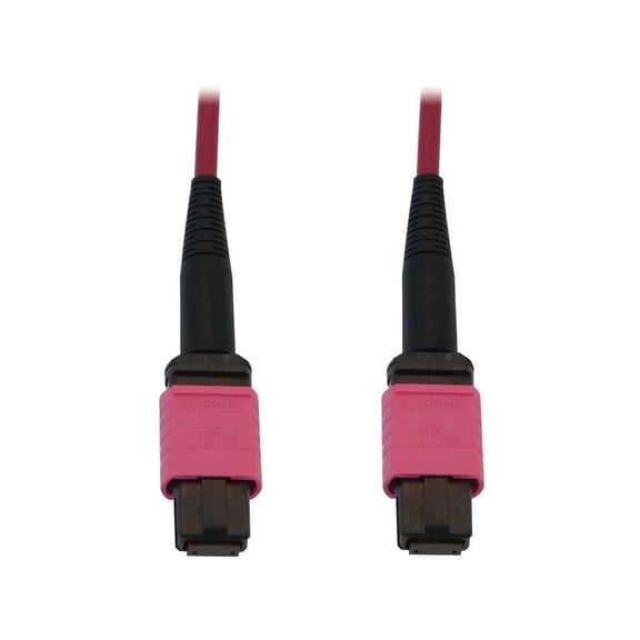 Eaton Tripp Lite Series 100G Multimode 50/125 OM4 Fiber Optic Cable, 10m
