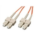 thumbnail image 1 of Eaton Tripp Lite Series Duplex Multimode 62.5/125 Fiber Patch Cable SC/SC 0.3M 1 ft., 1 of 2
