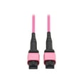thumbnail image 1 of Eaton Tripp Lite Series 100G Multimode 50/125 OM4 Fiber Optic Cable (12F MTP/MPO-PC F/F), OFNP, Magenta, 3 m (9.8 ft.), TAA - Network cable - TAA Compliant - MTP/MPO-12 multi-mode (F) to MTP/MPO-12 multi-mode (F) - 3 m - fiber optic - 50 / 125 micron - OM4 - halogen-free - magenta, 1 of 3