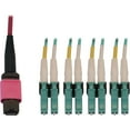 thumbnail image 1 of Tripp Lite N845X-05M-8L-MG Fiber Optic Duplex Trunk Network Cable, Magenta Jacket, Magenta Connector, Black Connector, Aqua Connector, 1 Piece (Quantity), 1 of 5