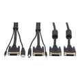 thumbnail image 1 of Tripp Lite P784-010-DV 10 ft. Dual DVI KVM Cable Kit - DVI, USB, 3.5 mm Audio (3xM/3xM) + DVI (M/M), 1080p, 10 ft., Black, 1 of 11