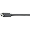 thumbnail image 1 of Tripp Lite U428-06N-F USB 3.1 Type C Female to Type A Male Adapter Cable, 1 of 5