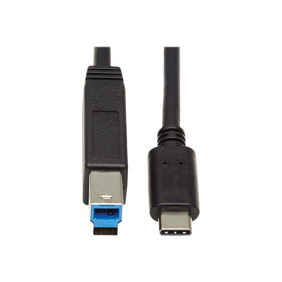 Tripp Lite Type-c To Type-b Cable (m/m) - Type-c 3.1 Gen 2, 10 Gbps, Thunderbolt 3 Compatible, 20 In. - Cable - Type B (m) To Type-c (m) - Thunderbolt 3 / / 2.0 / 3.0 / 3.1 Gen 2