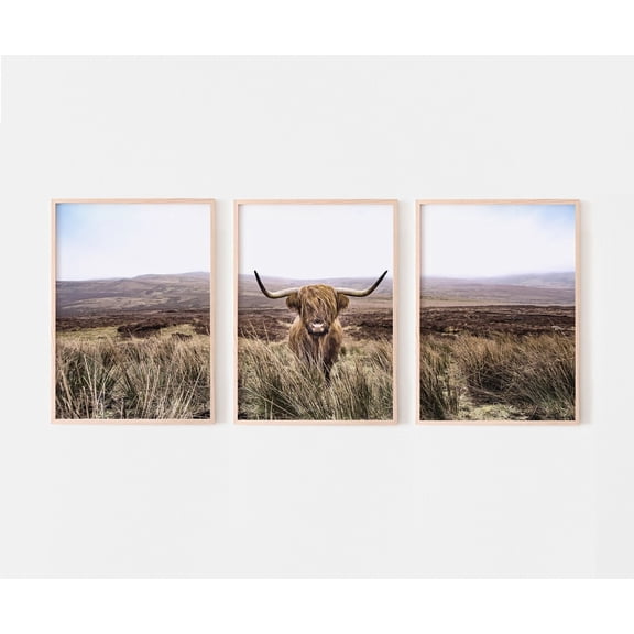 Triptych Wall Art Rustic Animal Photography Cow Gallery, Poster Only