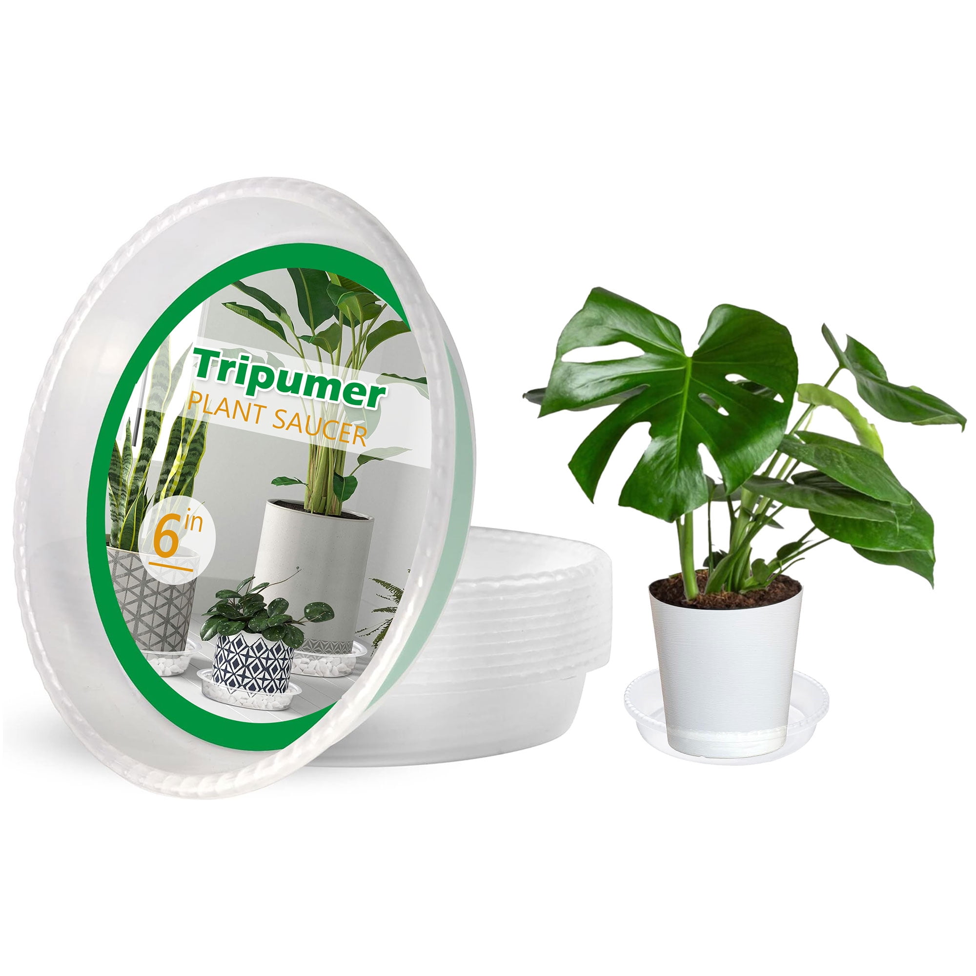 Tripumer 10Pack Plant Saucers 6inch Clear Plant Saucers Plastic Planter