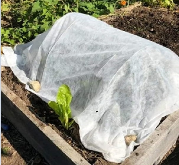 Tripumer Plant Covers Frost Blankets for Plants 5 x 16 ft Plant Frost