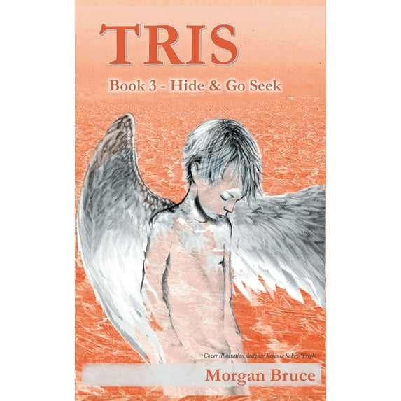 Tris Tris 3 - Hide & Go Seek, Book 3, (Hardcover)