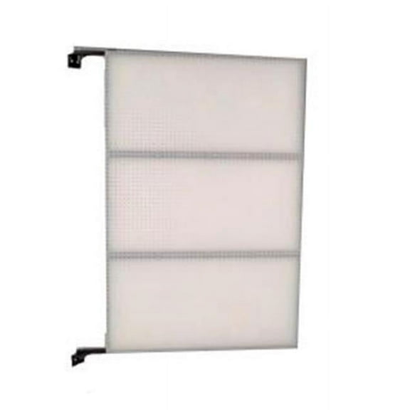 Triton Products W1-D 48 In. W x 72 In. H x 1.5 In. D Wall Mount Double-Sided Polypropylene Swing Panel Pegboard