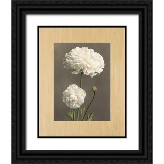 Trivelli, Andrea 20x24 Black Ornate Wood Framed with Double Matting Museum Art Print Titled - Dalie