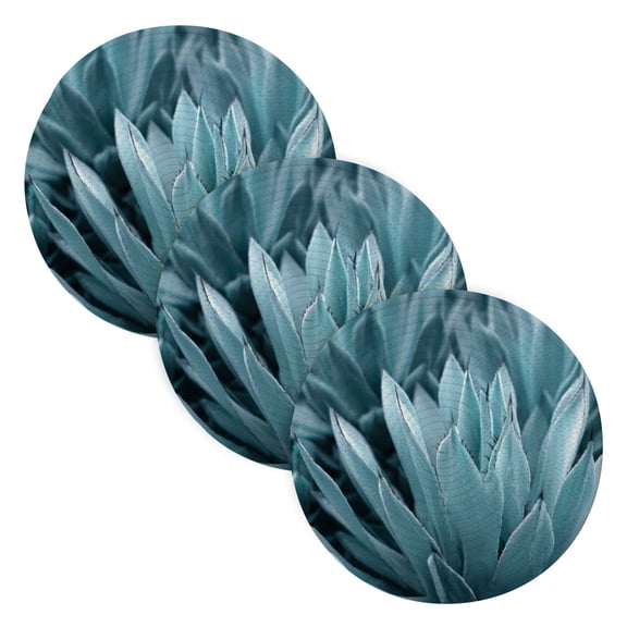 Trivets for Hot Dishes 15 Inches Hot Pads 3 Pcs Heat Resistant Mats for Countertop Polyester Cord Braiding Durable and AbsorbentApplicable to Kitchen Decor Close-up Of Plants