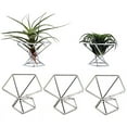 thumbnail image 1 of Trjgtas Pack 5 Air Plant Holder Air Plants Holders Tillandsias Display Air Purifying Plant Container Air Fern Stand, Silver, 1 of 5