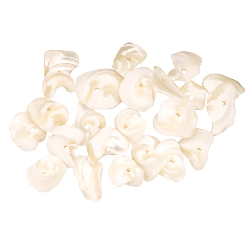 Trochus Shell Chips Shell Beads 10~13mm 100Gram/pack (2-pack Value Bundle), SAVE $1 - image 1 of 1