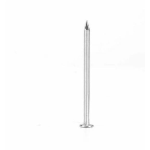 LABSERRON Stainless Steel Wall Nails with Point Tip for Cement Fixing Plated Silver Durable Finish