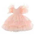 thumbnail image 1 of Trolimons Newborn Baby Flower Girl Dresses Fly Sleeve Lace Embroidery Pageant Gown Party Evening Wedding Clothes Fashion Size 0-6 Months Pink, 1 of 1