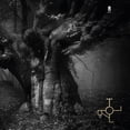 thumbnail image 1 of DROTT Troll (Vinyl Record) 12" Album, 1 of 1