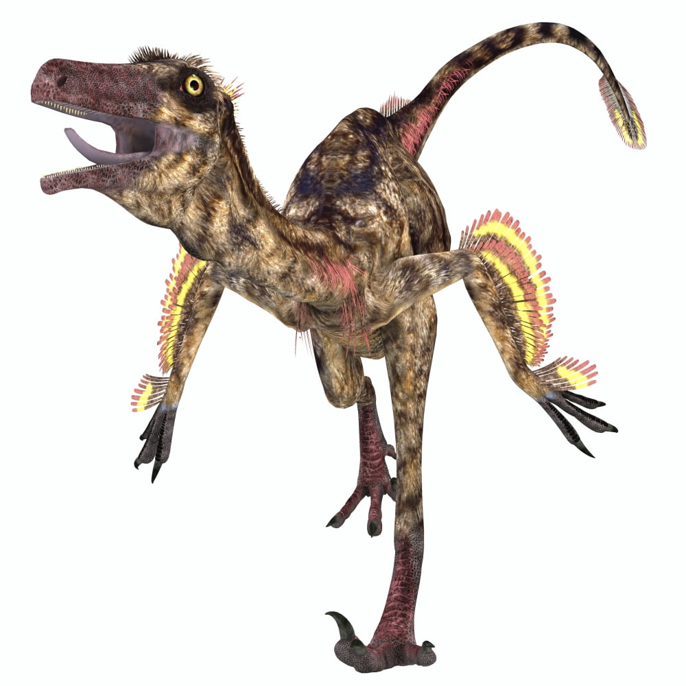Troodon bird-like dinosaur Canvas Art - Corey FordStocktrek Images (28 x 28)