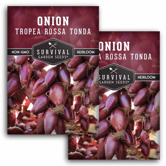 Tropea Rossa Tonda Onion Seeds - Full Sun Biennial Vegetable - 2 Packs