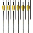 thumbnail image 1 of Trophy Ridge Wrath 340 Spine Fletched Carbon Arrows, 1 of 5