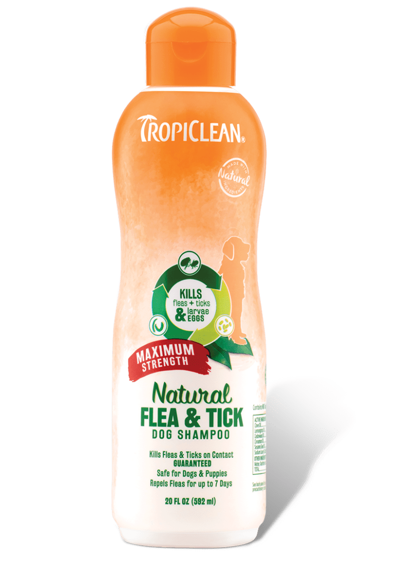 TropiClean Natural* Flea & Tick Maximum Strength Shampoo for Dogs, 20oz - Treatment Kills Fleas