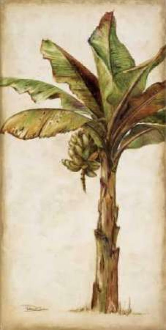 Tropic Banana II Canvas Art - Patricia Pinto (10 x 20)