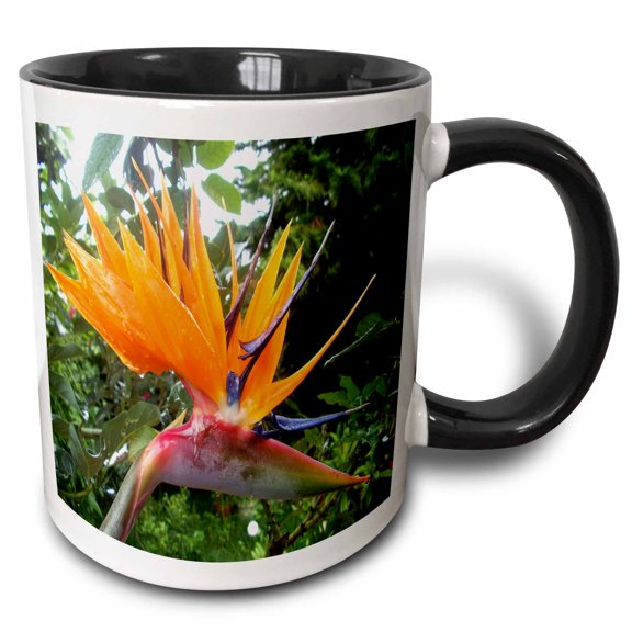 3drose, Tropic Bird of Paradise with Dew Drops, 11oz Two-tone Black Mug