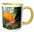 thumbnail image 1 of 3drose, Tropic Bird of Paradise with Dew Drops, 11oz Two-tone Yellow Mug, 1 of 6