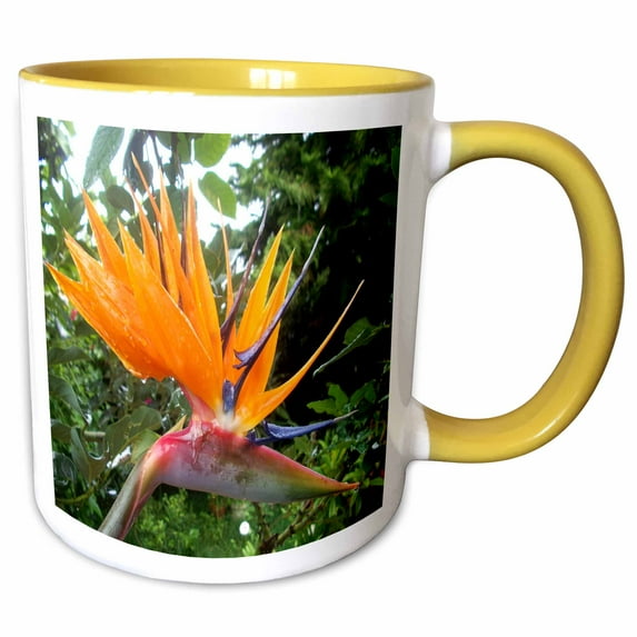3drose, Tropic Bird of Paradise with Dew Drops, 11oz Two-tone Yellow Mug