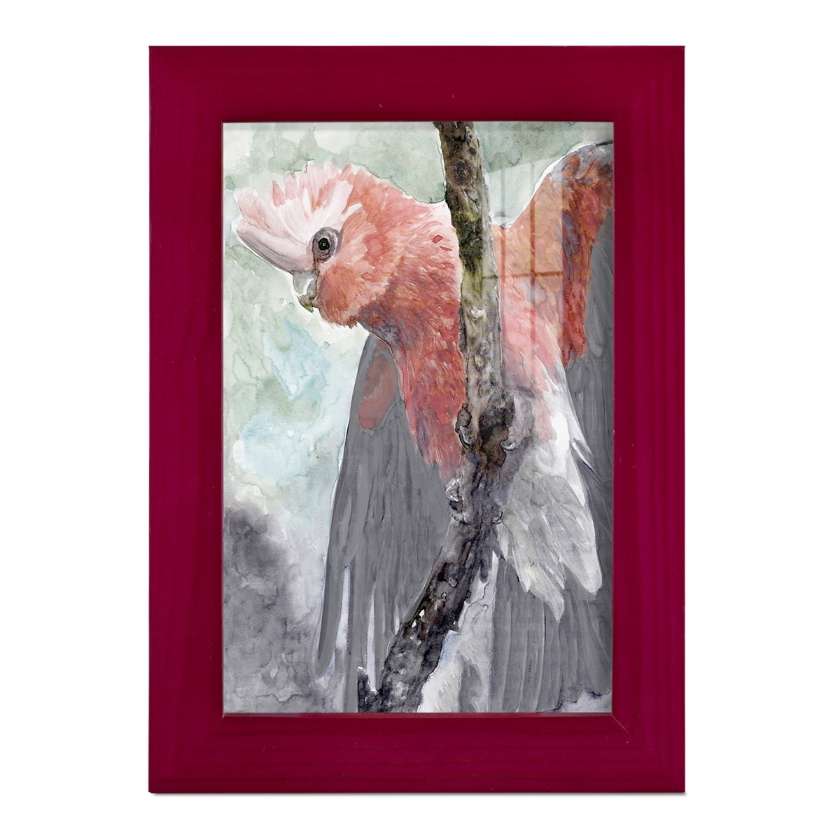 Tropic Parrot II - Framed Print w/glass - Cherry Red