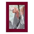 thumbnail image 1 of Tropic Parrot II - Framed Print w/glass - Cherry Red, 1 of 8