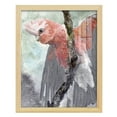 thumbnail image 1 of Tropic Parrot II - Framed Print w/glass - Natural Wood, 1 of 7
