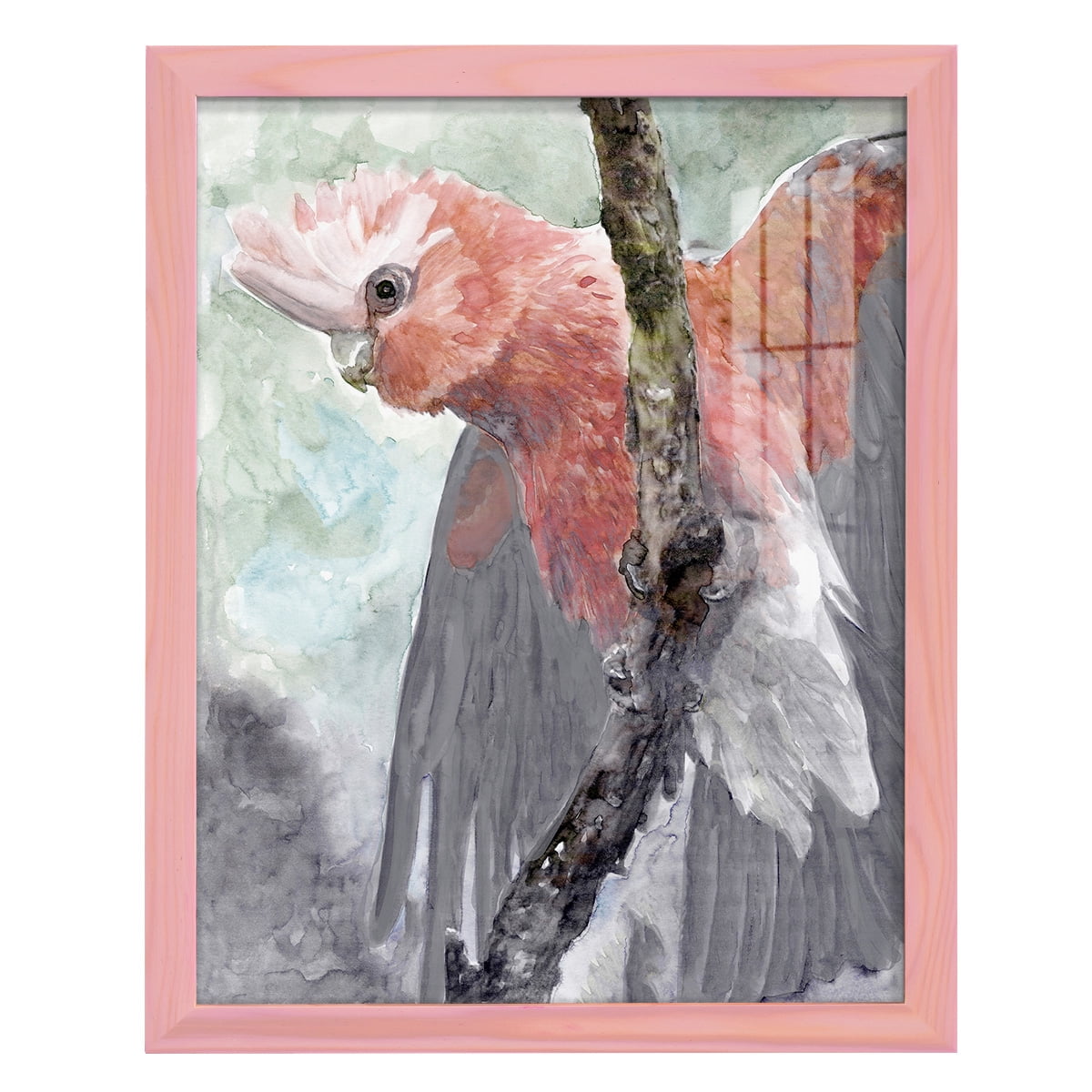 Tropic Parrot II - Framed Print w/glass - Sunset Pink
