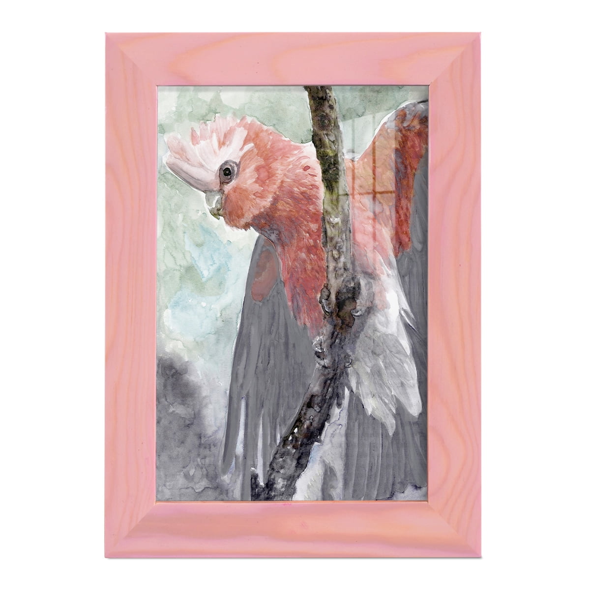 Tropic Parrot II - Framed Print w/glass - Sunset Pink