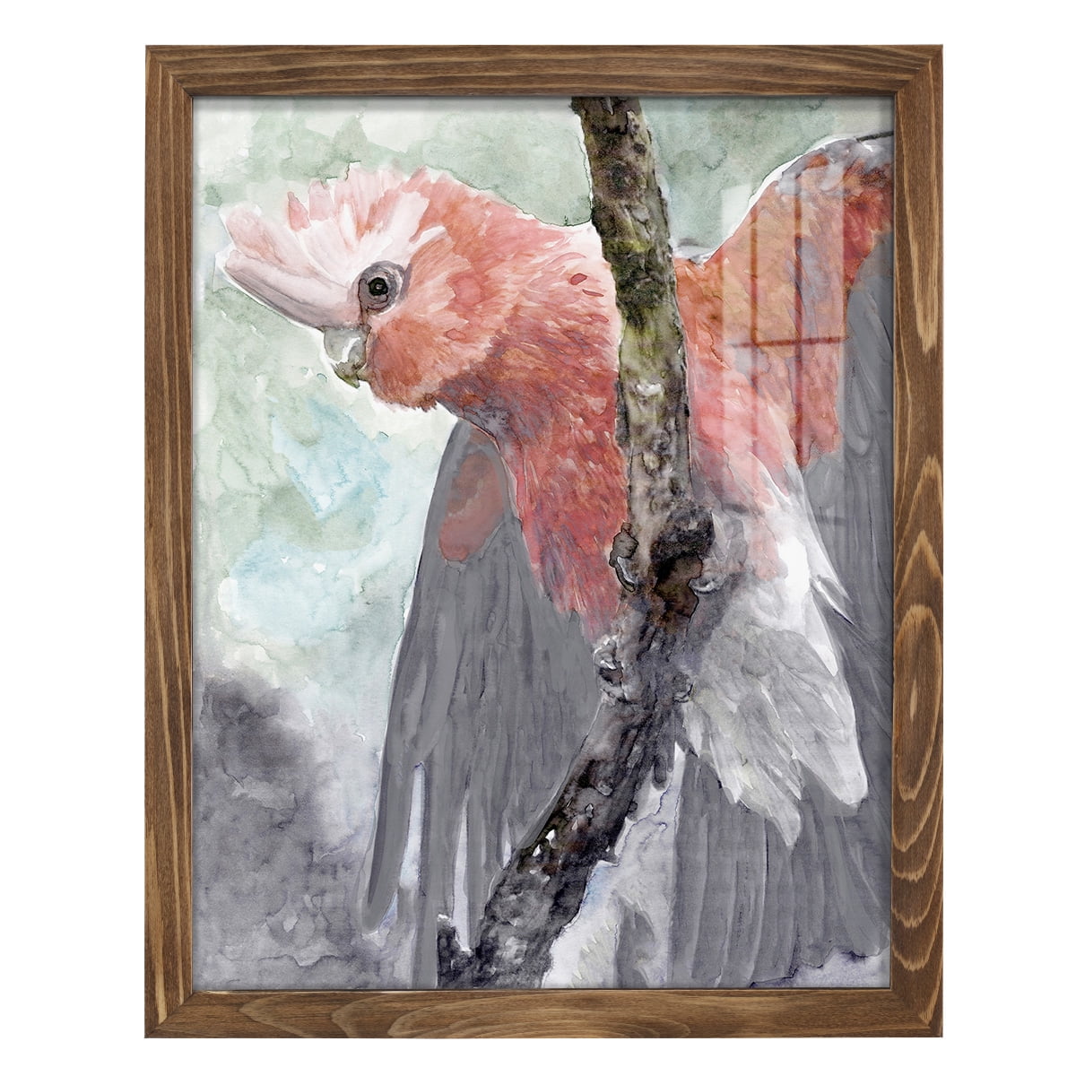 Tropic Parrot II - Framed Print w/glass - Walnut
