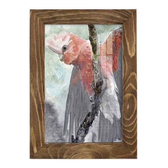 Tropic Parrot II - Framed Print w/glass - Walnut