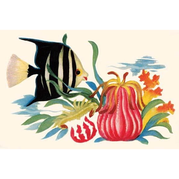 Tropical Angel Fish-Fine Art Canvas Print (20" x 30")