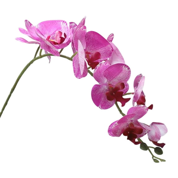 Tropical Artificial Flower Long Stem Butterfly Orchid Big Size Lifelike Phalaenopsis Real Touch Moth Orchid for Wedding Bridal Home Décor Baby Shower Centerpiece