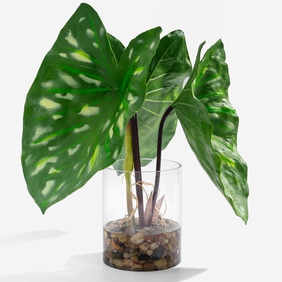 Tropical Artificial  in Clear Pot with Artificial Water, Wide  Leaves. Faux  Indoor and Outdoor
