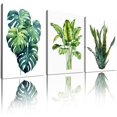 thumbnail image 1 of Tropical Artwork Green Leaf Prints Minimalist Succulent Botanical Plants Paintings 3 Pieces Modern Wall Art Still Life Foliage Pictures Posters Decor for Restaurant Hotel Office UNFRAMED 12×16 Inches, 1 of 1
