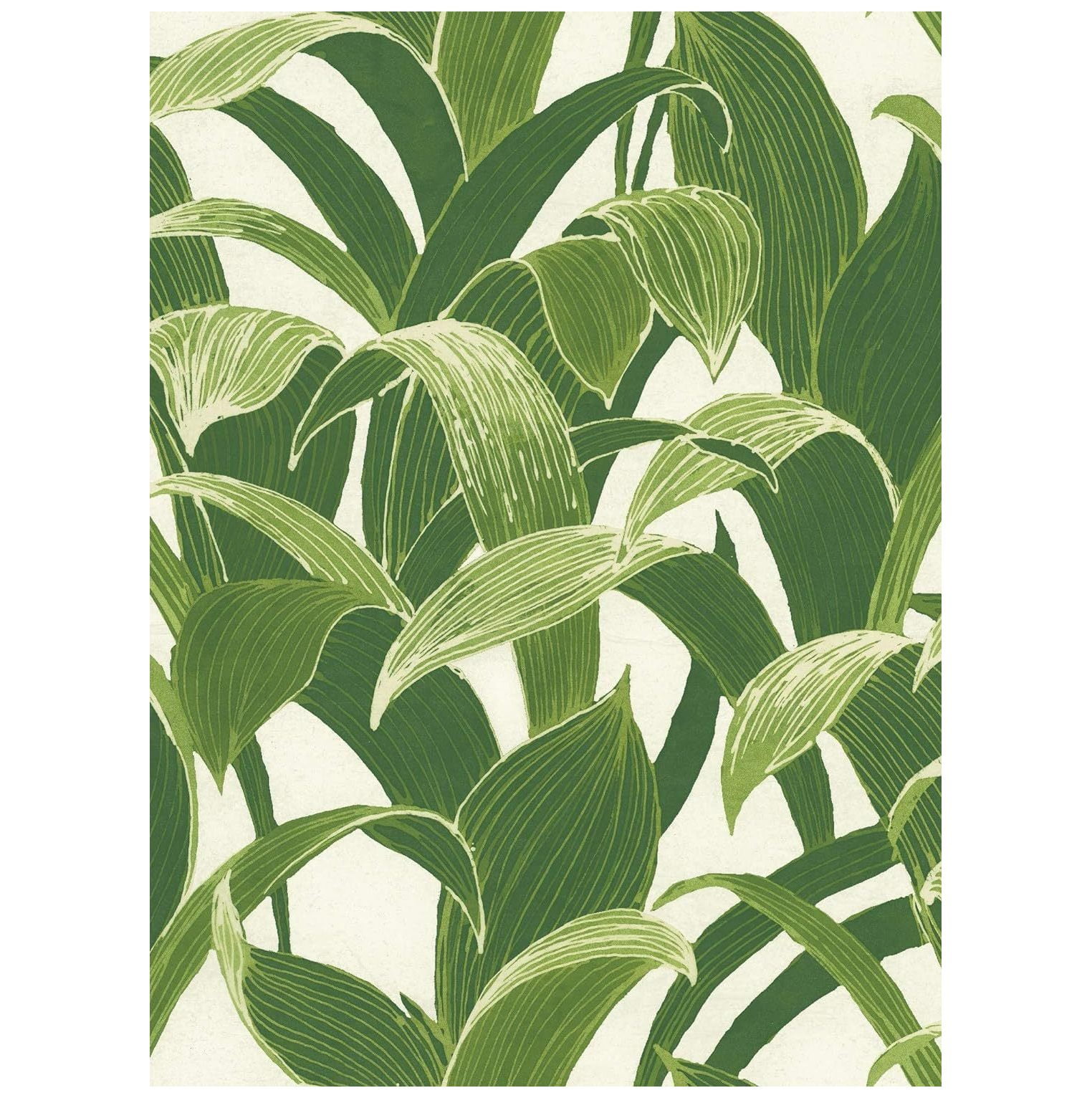 Tropical Banana Leaves Peel & Stick Wallpaper GW1004, Green