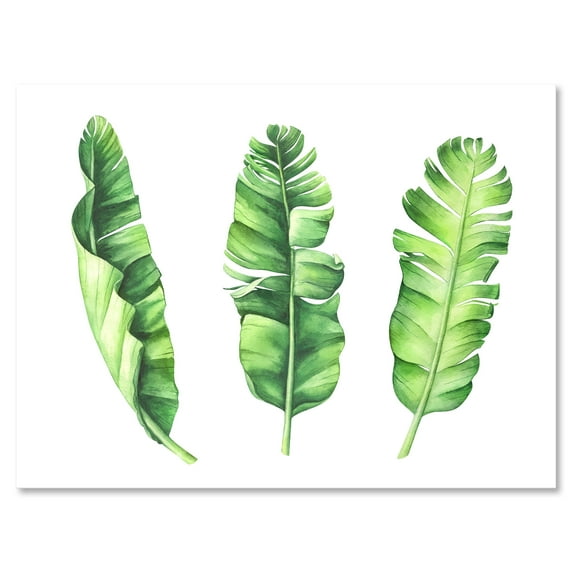 Tropical Banana Leaves Set On White 40 in x 30 in Painting Canvas Art Print, by Designart
