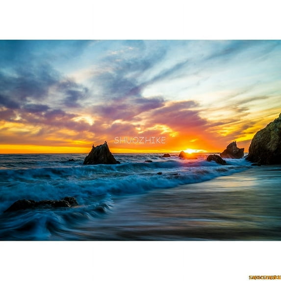 Tropical Beach Natural Landscape Photography Backdrops Landscape Blue Sky Sea Palm trees Summer Vaion Photo Background ST-03