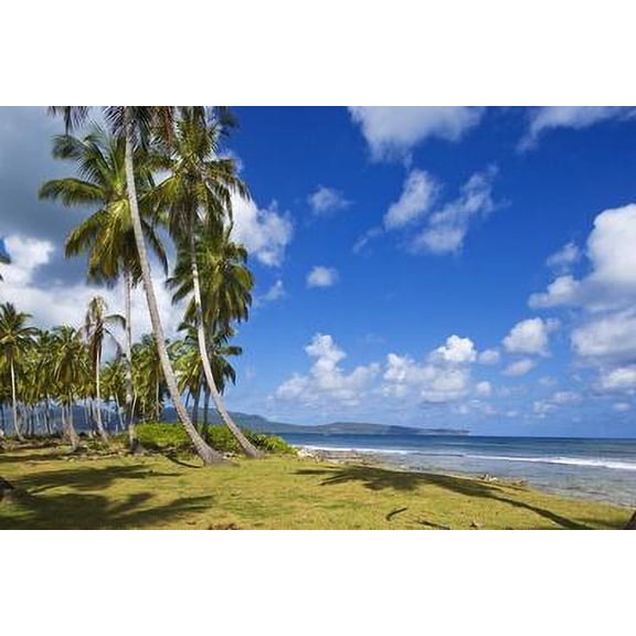 Tropical Beach, Playa Las Galeras, Samana Peninsula, Dominican Republic, Unframed Photographic Print Wall Art by Massimo Borchi Sold by ArtCom