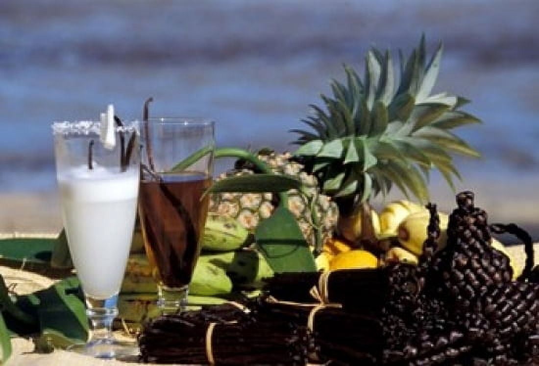 Tropical Breakfast Madagascar Canvas Art - Michele Molinari DanitaDelimont (18 x 12)