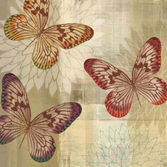Tropical Butterflies I Canvas Art - Tandi Venter (24 x 24)