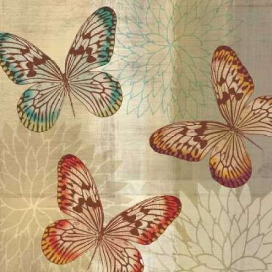 Tropical Butterflies II Canvas Art - Tandi Venter (24 x 24)