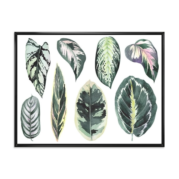 Tropical Calathea Leaves On White 40 in x 30 in Framed Painting Canvas Art Print, by Designart