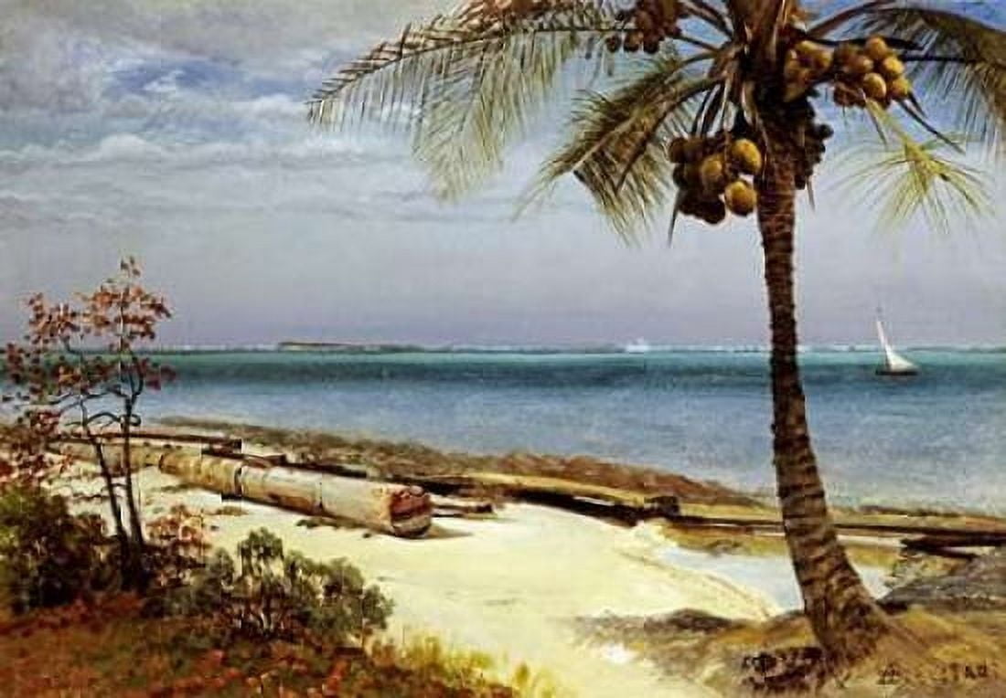 Tropical Coast Canvas Art - Albert Bierstadt (20 x 28)