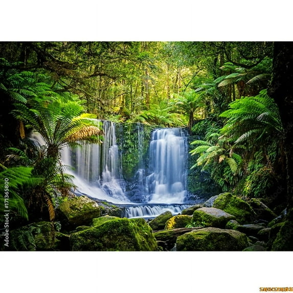 Tropical Coniferous Forest Moss Covered Fall Trees Photography Backdrops Prop Sunlight Nature Landscape Theme Background ZL-10